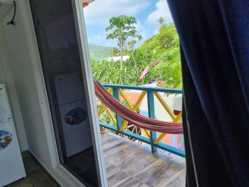 santa catalina island