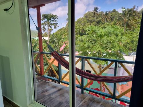 santa catalina island