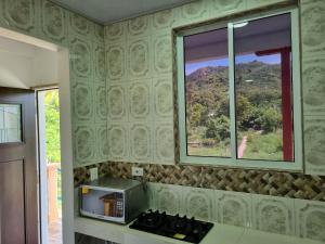 santa catalina island