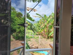 santa catalina island