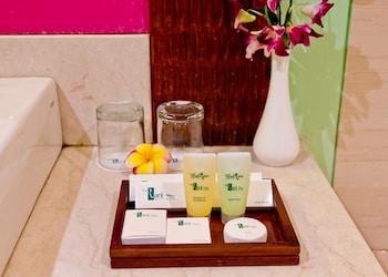 the rani hotel and spa