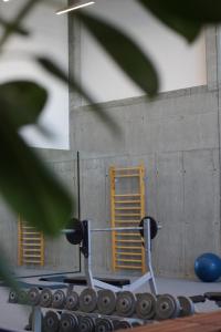 green loft gdynia