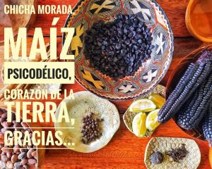 chakana hotel boutique