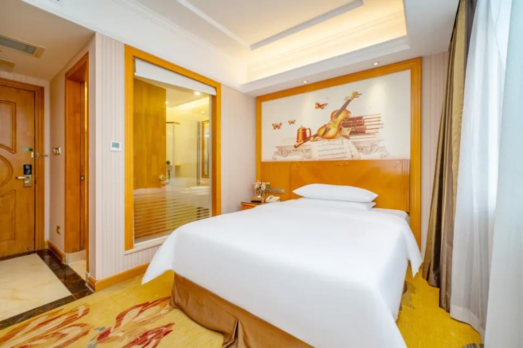 vienna hotel shenzhen longshen subway station