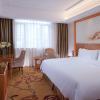 vienna hotel shenzhen longshen subway station