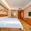 vienna hotel shenzhen longshen subway station