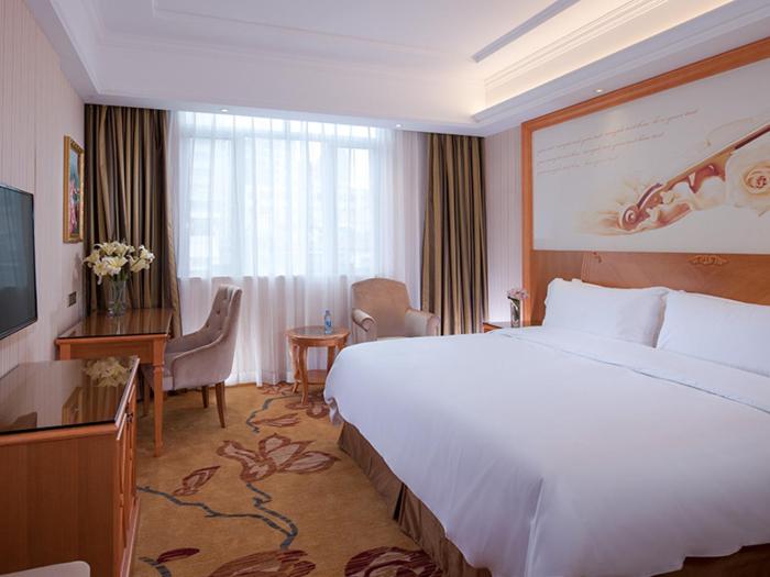 vienna hotel shenzhen longshen subway station