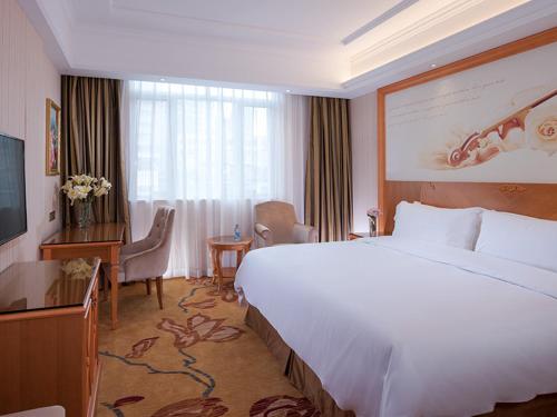 vienna hotel shenzhen longshen subway station