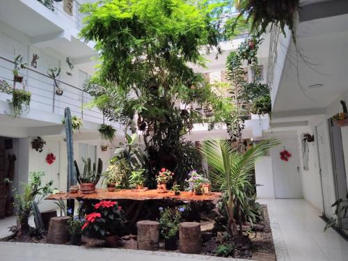 hotel boutique los remansos