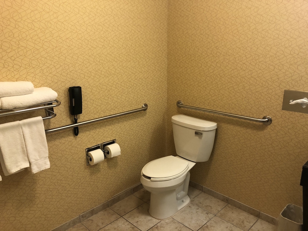 holiday inn express hotel and suites lansing dimondale by ihg