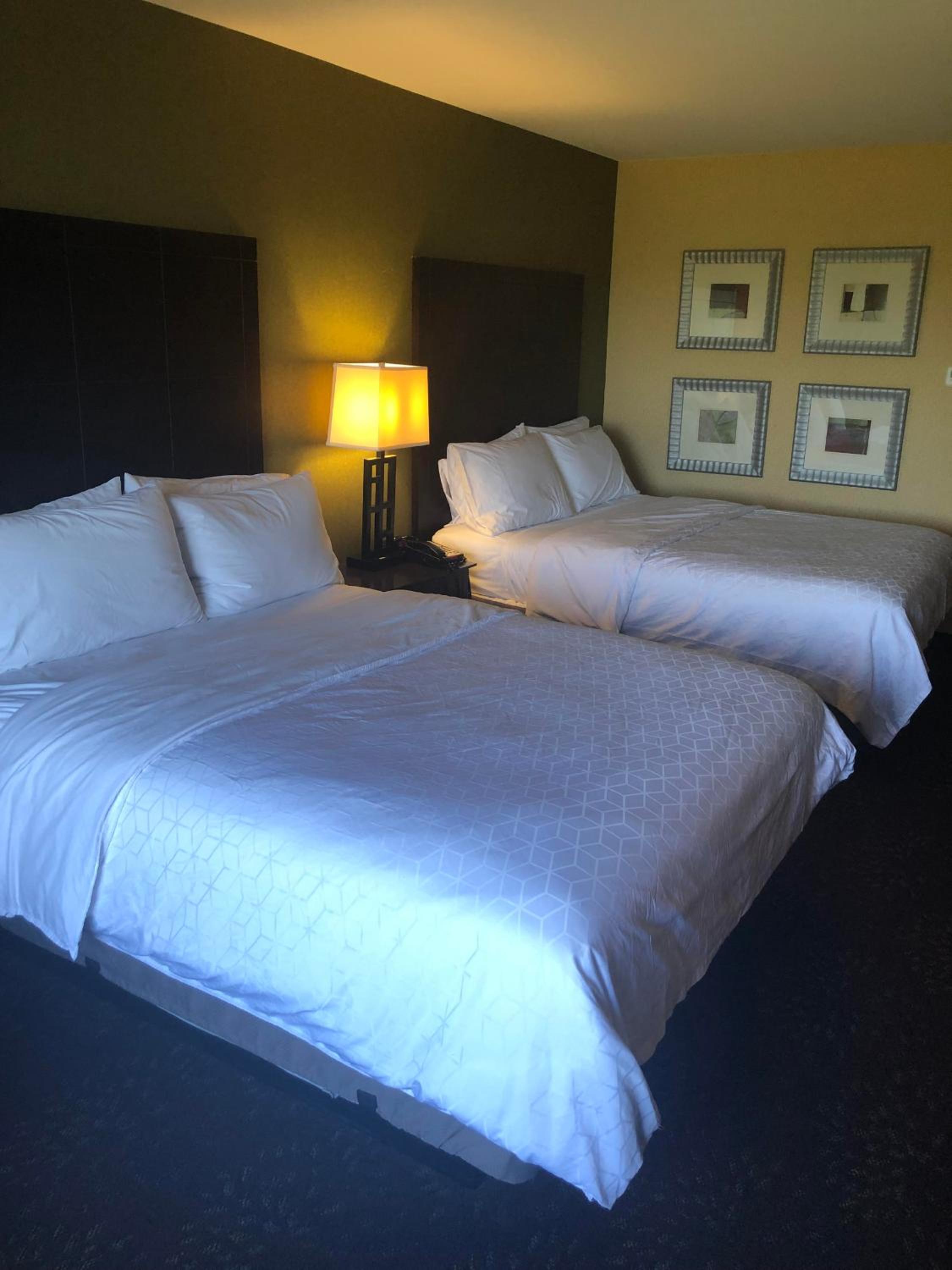 holiday inn express hotel and suites lansing dimondale by ihg