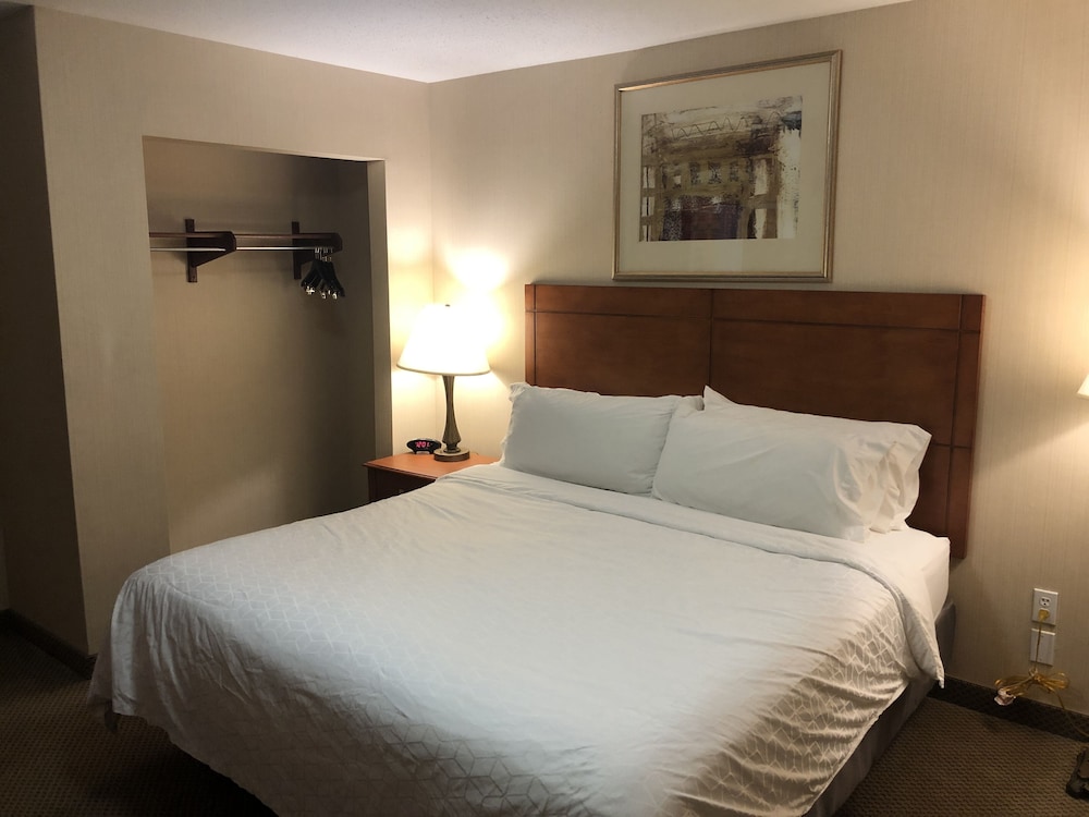 holiday inn express hotel and suites lansing dimondale by ihg