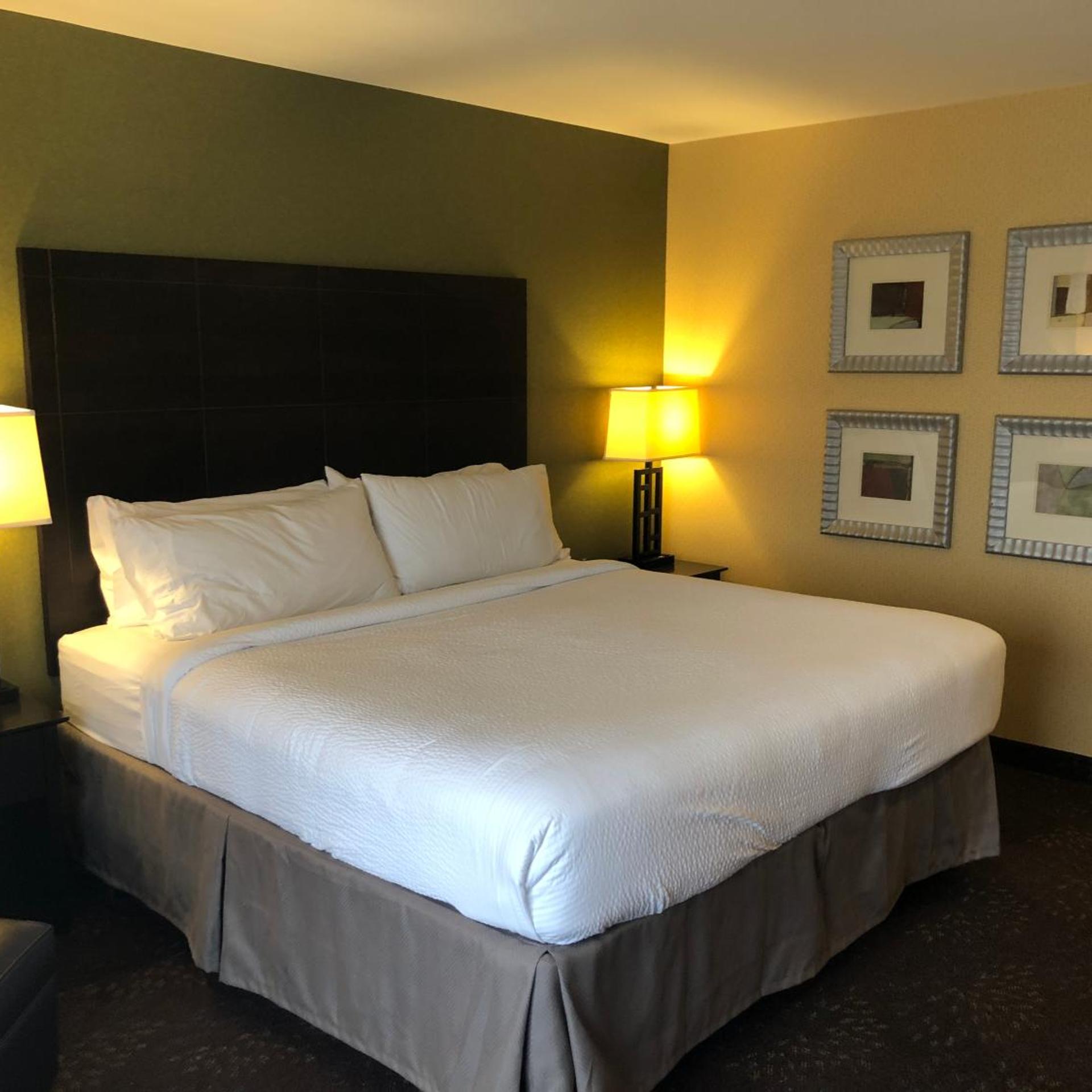 holiday inn express hotel and suites lansing dimondale by ihg
