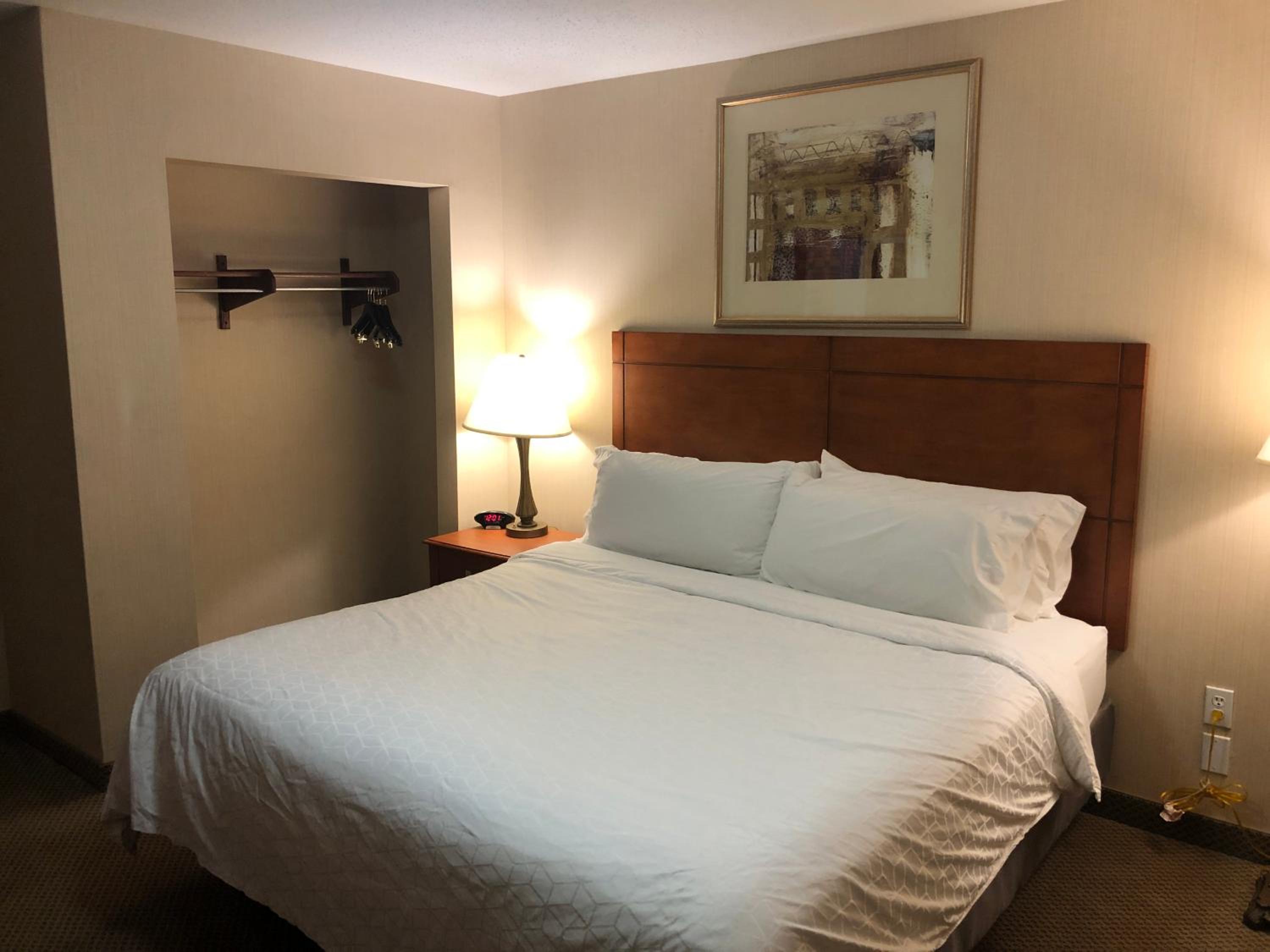 holiday inn express hotel and suites lansing dimondale by ihg