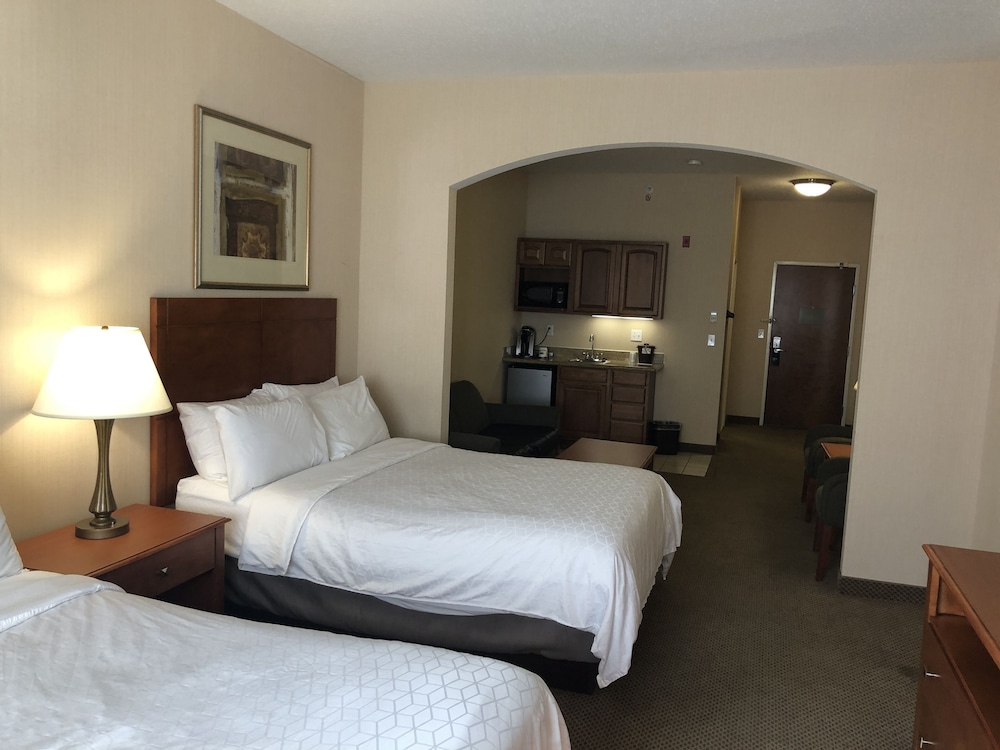 holiday inn express hotel and suites lansing dimondale by ihg