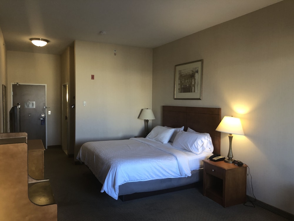 holiday inn express hotel and suites lansing dimondale by ihg