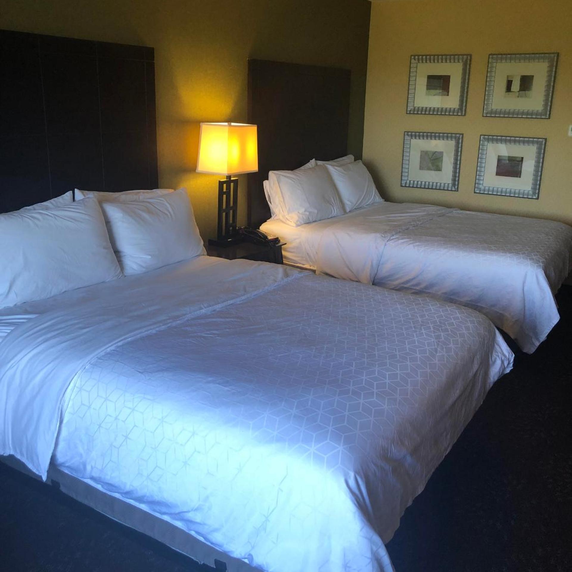 holiday inn express hotel and suites lansing dimondale by ihg