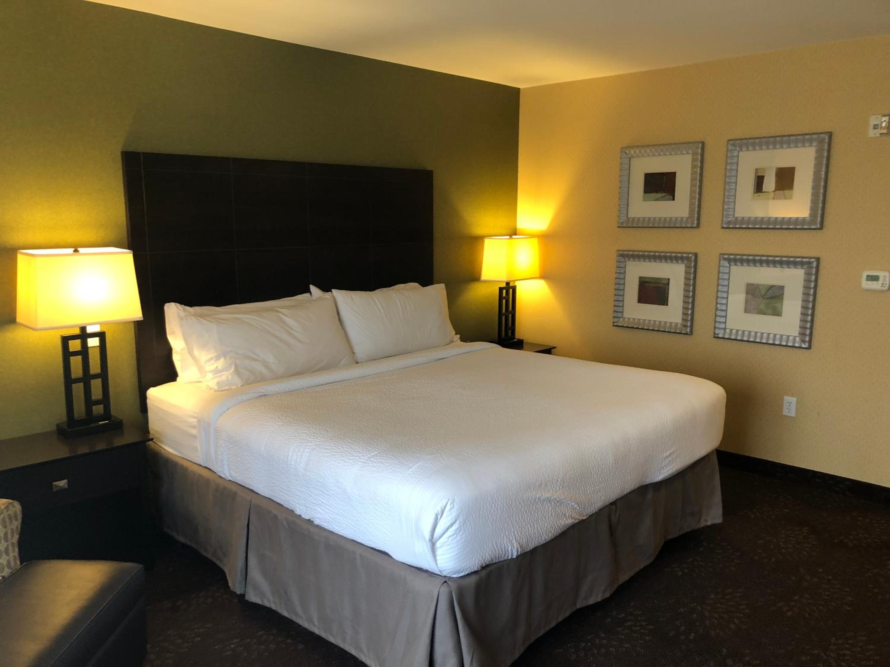 holiday inn express hotel and suites lansing dimondale by ihg