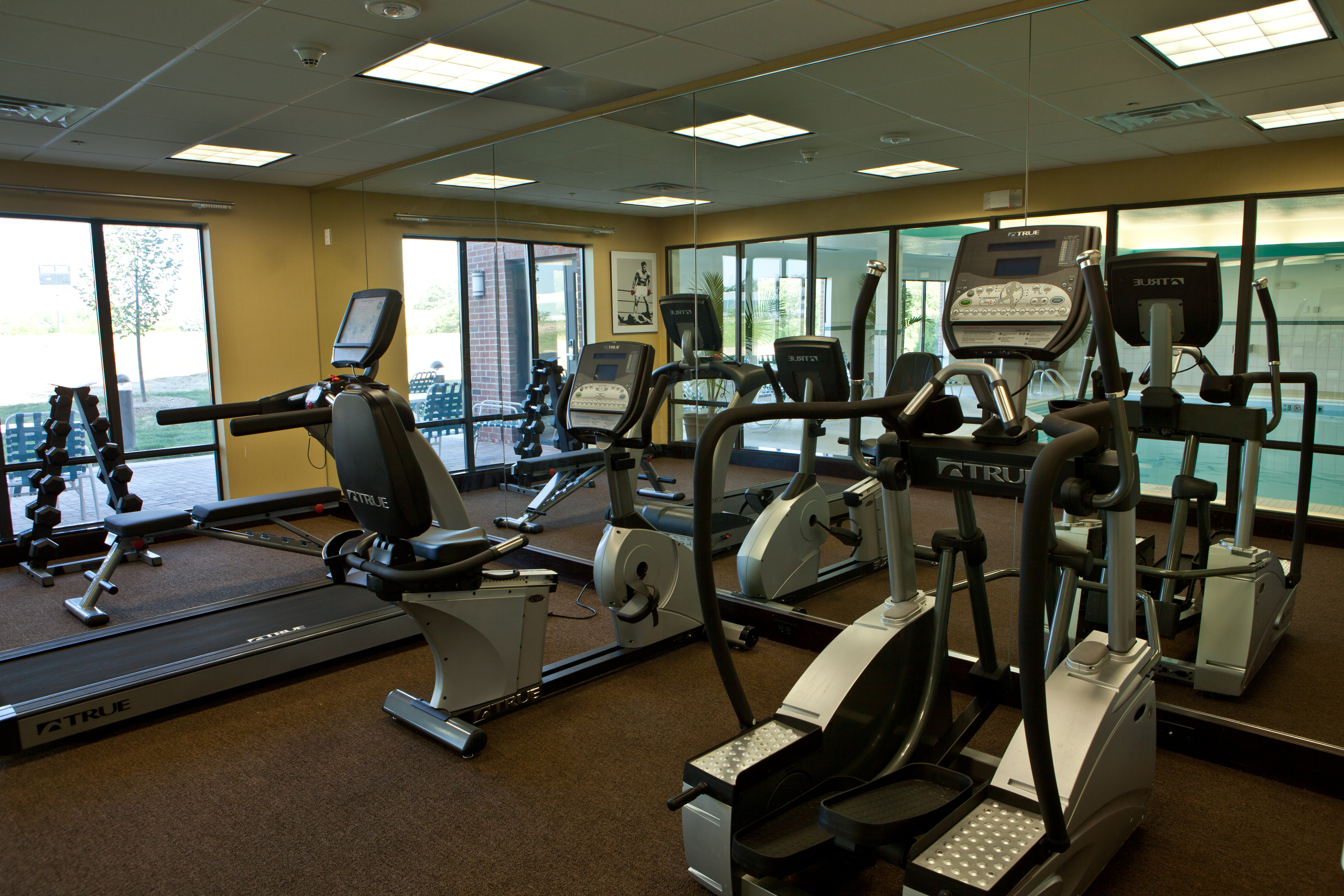 holiday inn express hotel and suites lansing dimondale by ihg