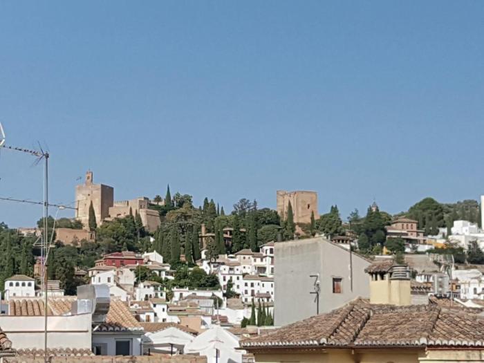 nest style granada