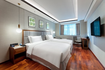 holiday inn suites xian high tech zone