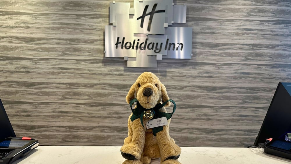 holiday inn and suites philadelphia w drexel hill