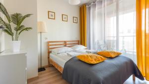 aura gdansk by sun and snow