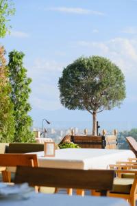 apricot hotel yerevan