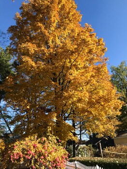 the gables of rhinebeck inn