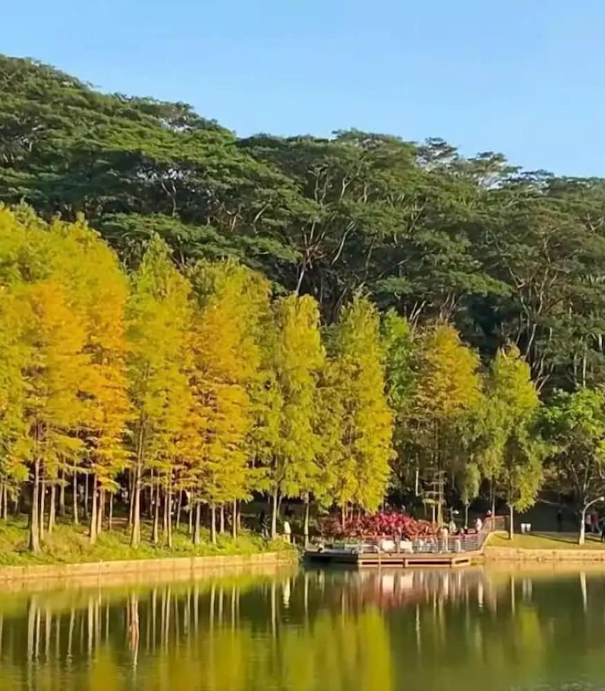 shenzhen