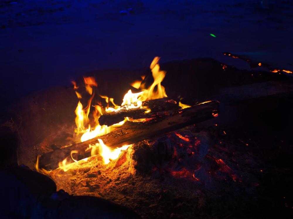 coconutbeach bungalows party hostel