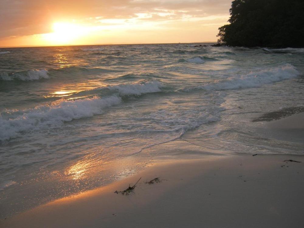 coconutbeach bungalows party hostel