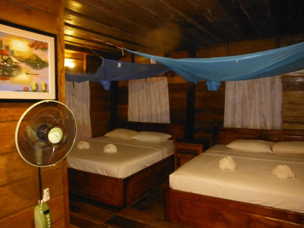 coconutbeach bungalows party hostel