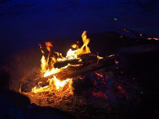 coconutbeach bungalows party hostel