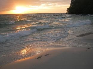 coconutbeach bungalows party hostel