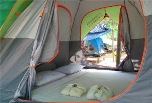 coconutbeach bungalows party hostel