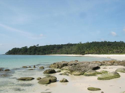 coconutbeach bungalows party hostel