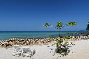 coconutbeach bungalows party hostel