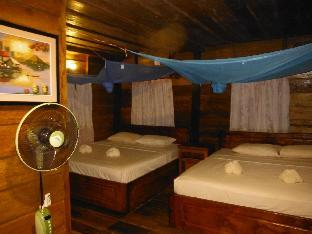 coconutbeach bungalows party hostel