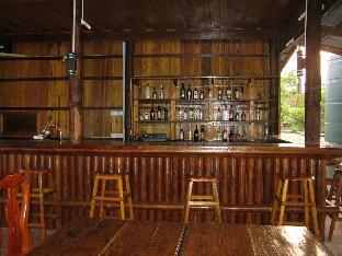 coconutbeach bungalows party hostel