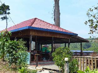 coconutbeach bungalows party hostel