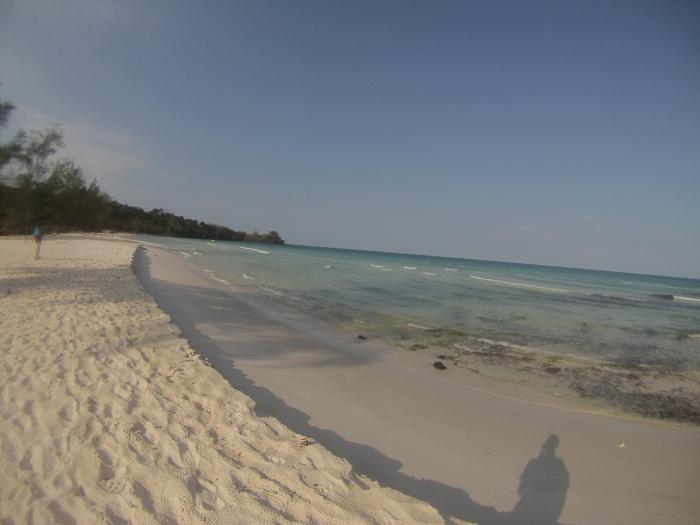 coconutbeach bungalows party hostel