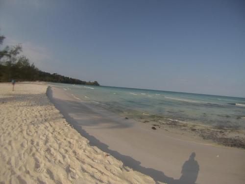 coconutbeach bungalows party hostel