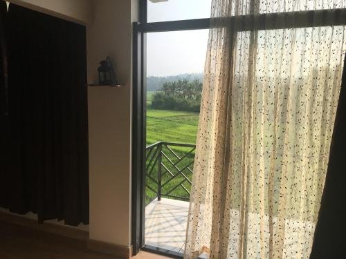 the paddy field inn hostel