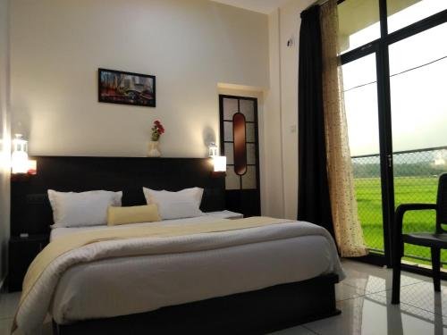 the paddy field inn hostel