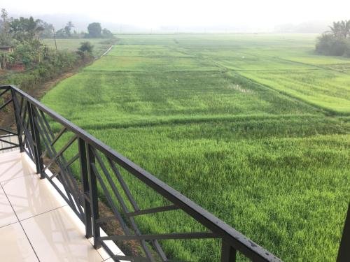 the paddy field inn hostel