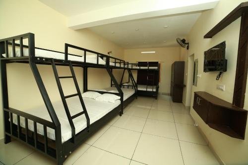 the paddy field inn hostel