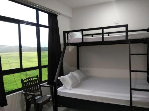 the paddy field inn hostel