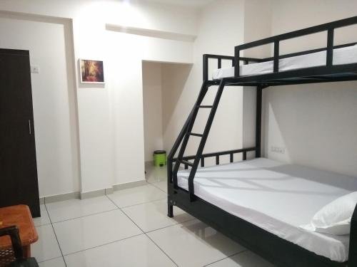 the paddy field inn hostel