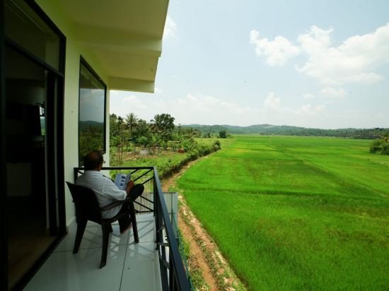 the paddy field inn hostel